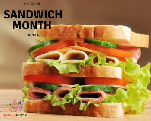 Sandwich Recipe Roundup